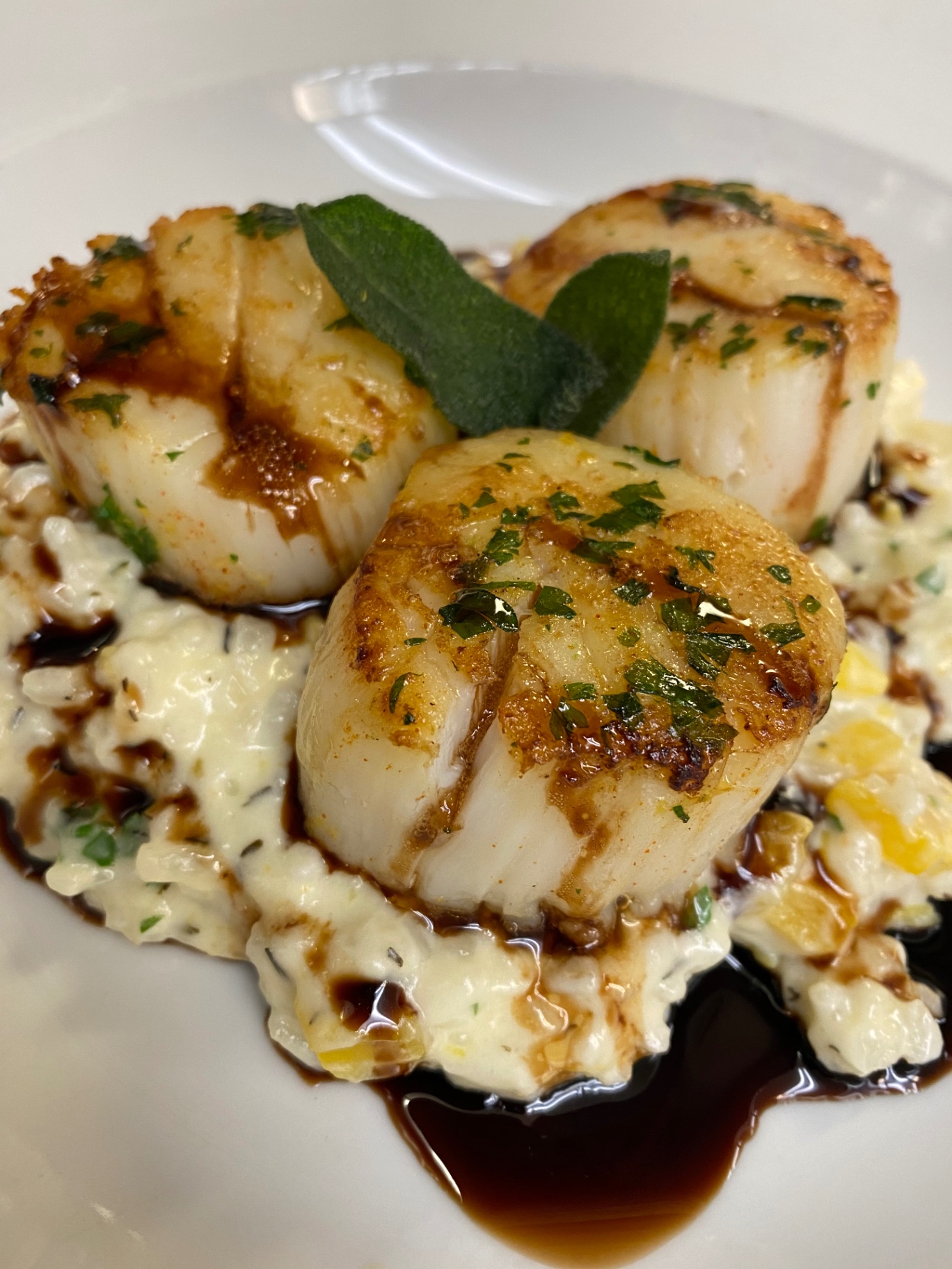 Seared scallops over herb risotto with balsamic reduction and sage